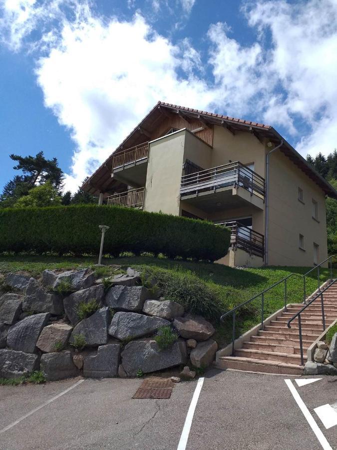 Le Lougo Apartment Gerardmer Ngoại thất bức ảnh